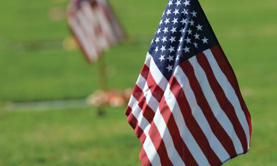 Small American flag on a grave.